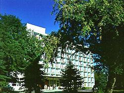 Горный родник