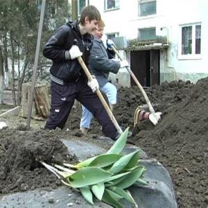 Пятигорск рассматривает новые Правила благоустройства города