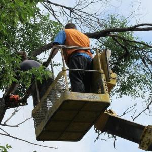 Минводы постепенно лишаются зеленого одеяния