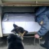Продолжаются мероприятия по проверке междугородних автобусов
