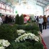 Пятигорск сегодня и завтра