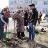 Пятигорск обрел новую «Аллею дружбы»